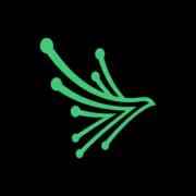 Black Kite logo